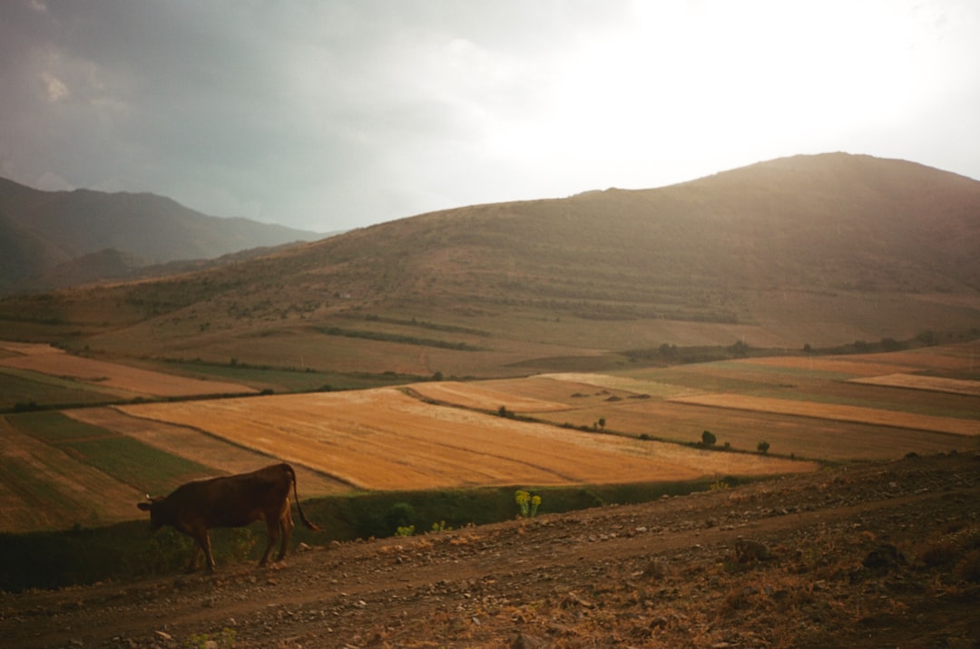 Highland photo spot Armenia Debet