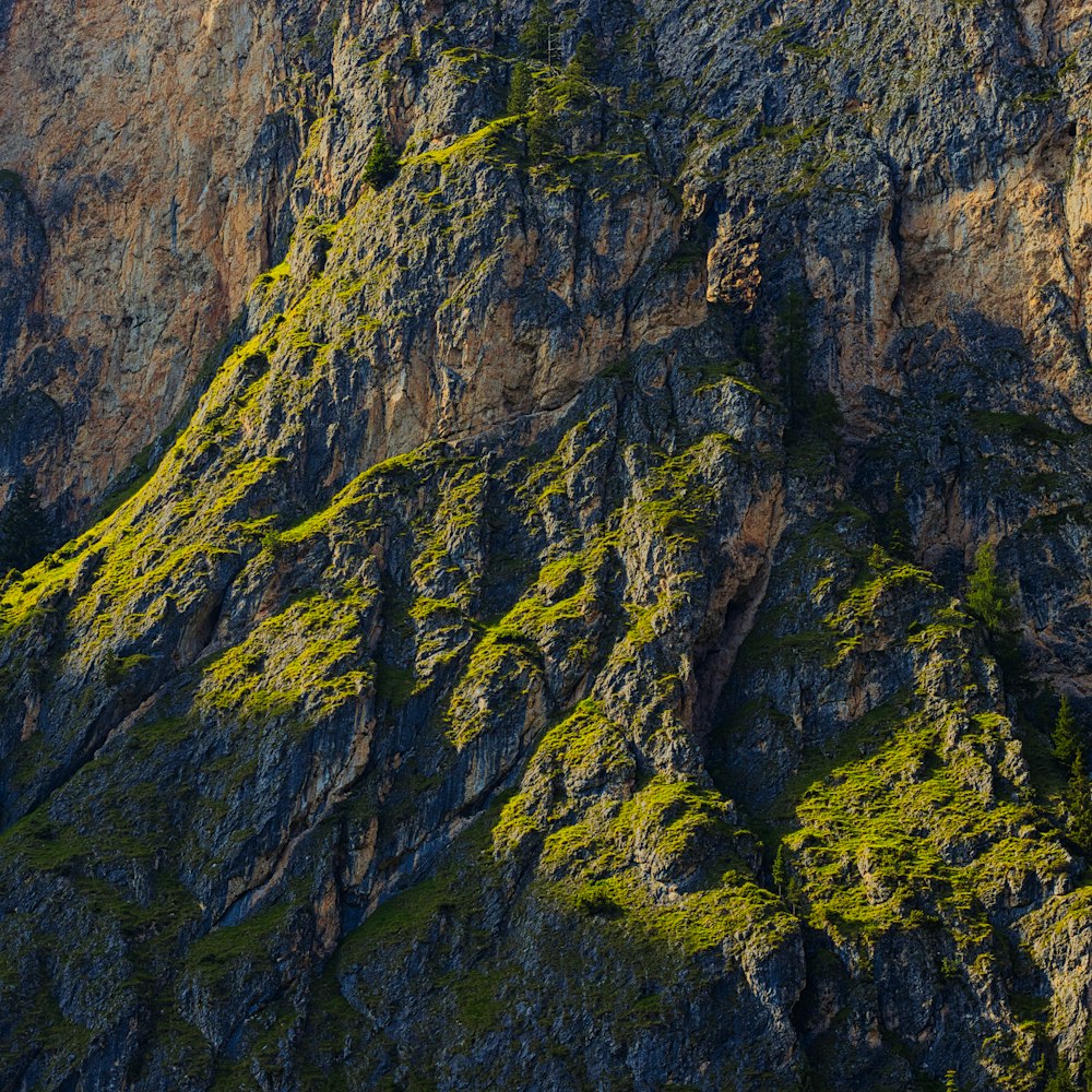 Montagna rocciosa verde e grigia