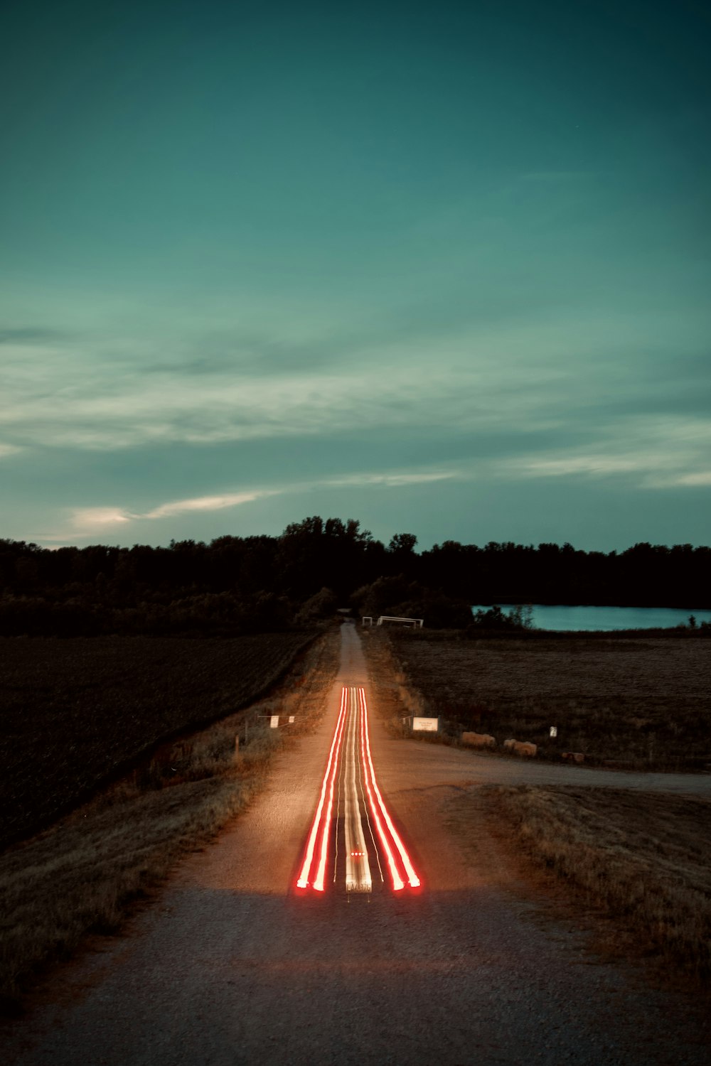 road between trees during night time