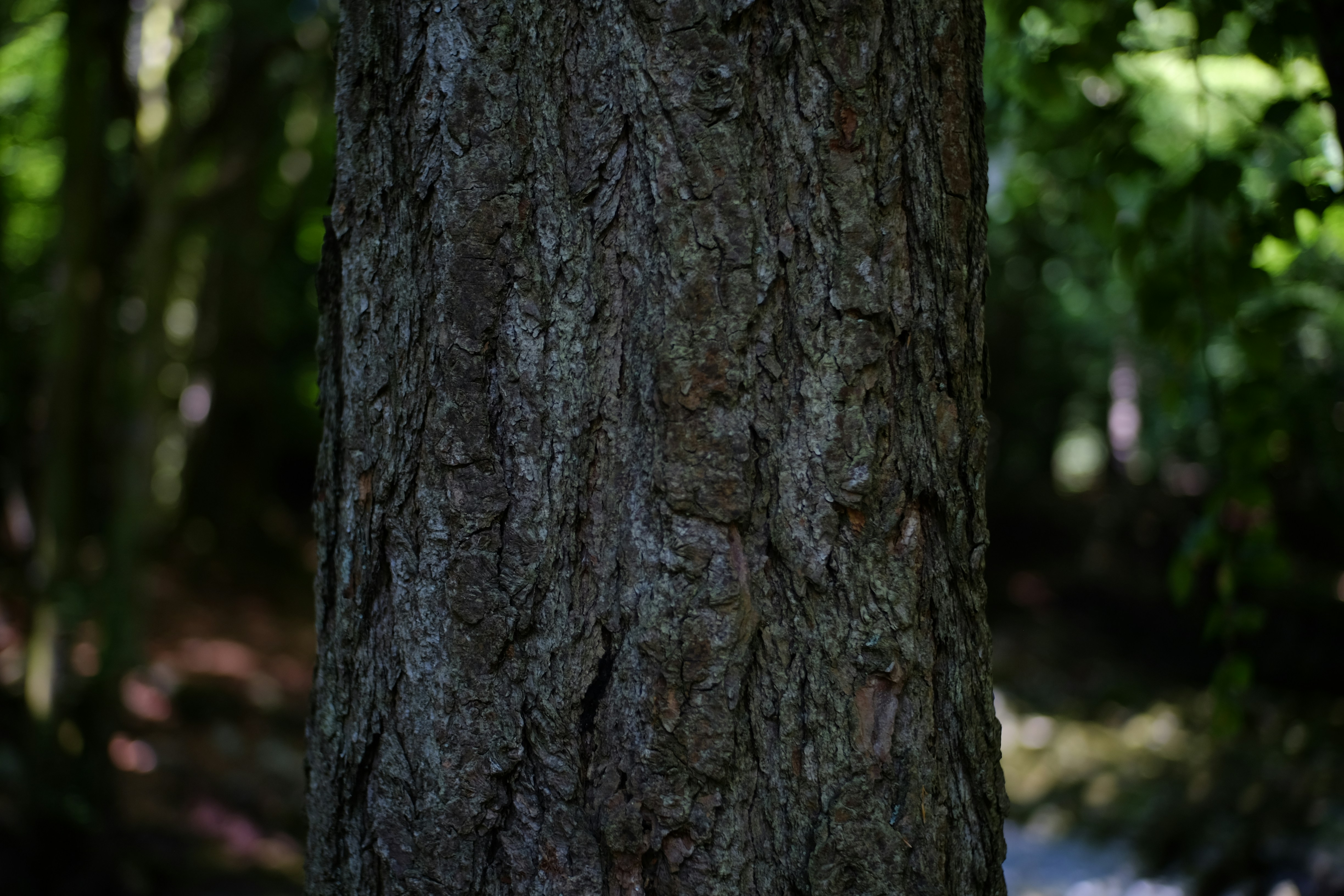 Photo by seanrobbins