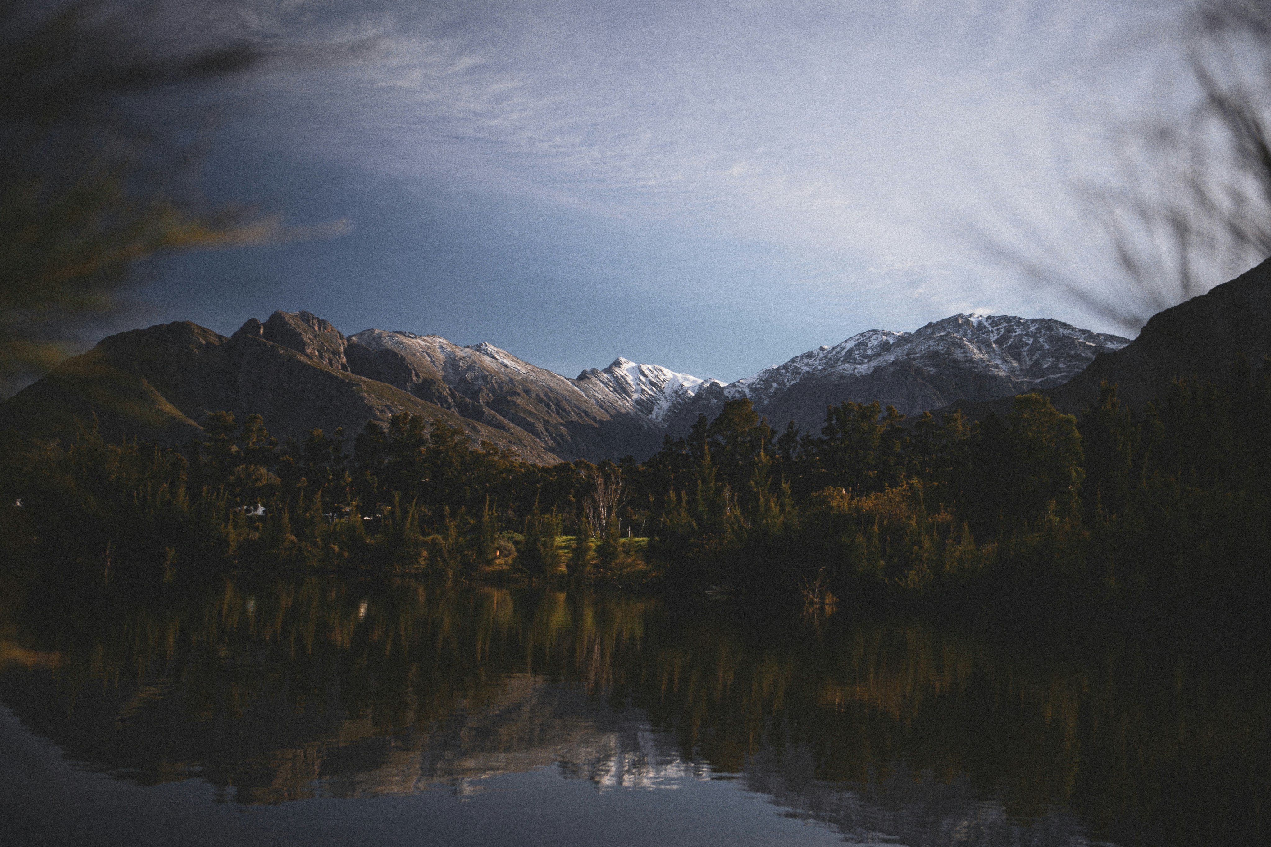 green trees near lake under white clouds and blue sky during daytime