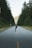 A satisfied customer enjoying a scenic ride on a longboard.