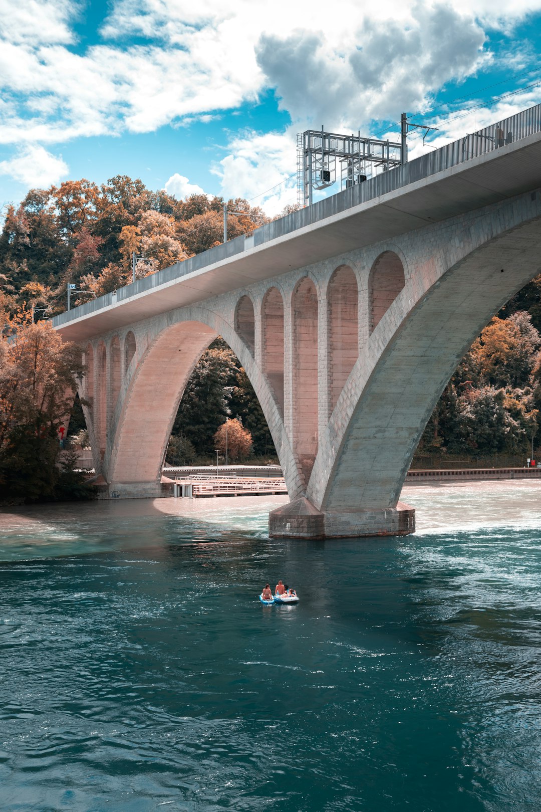 people swimming on river under bridge during daytime