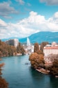 body of water near trees and buildings during daytime