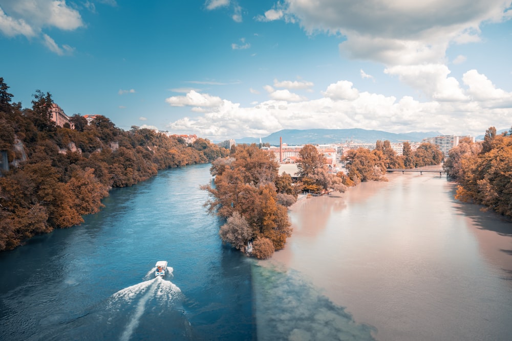 body of water between trees under blue sky during daytime