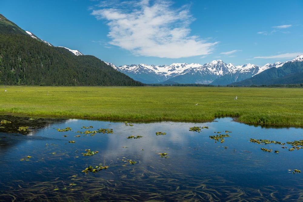 green grass field near lake and mountains under blue sky during daytime