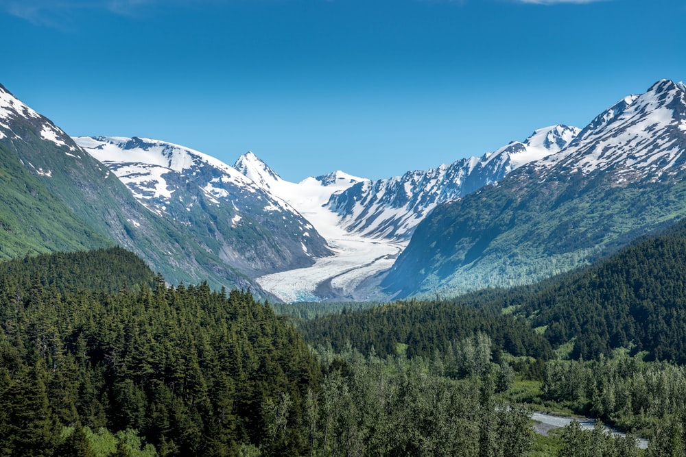 snow covered mountains and green trees under blue sky during daytime