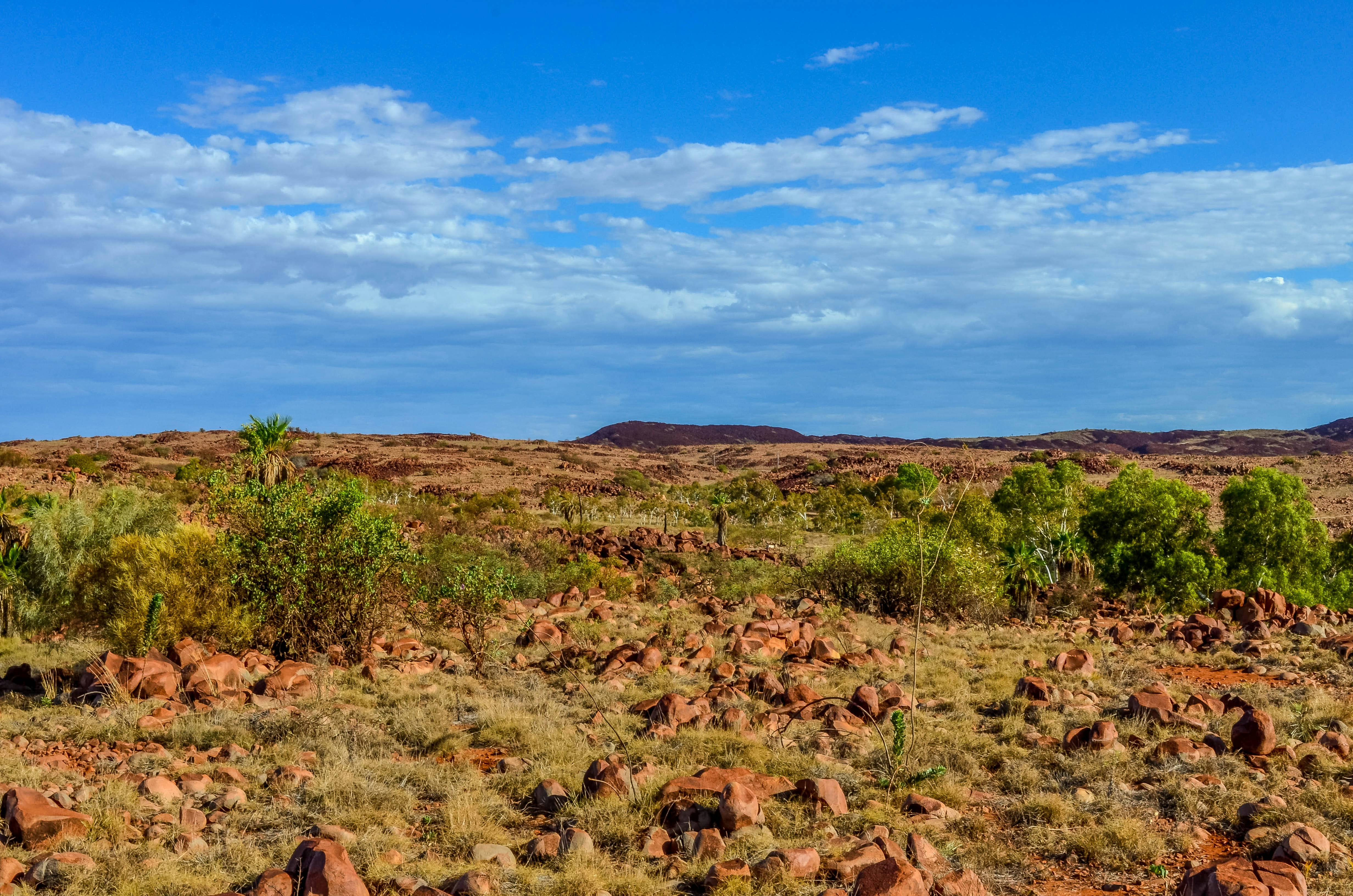 green grass field under blue sky during daytime, 