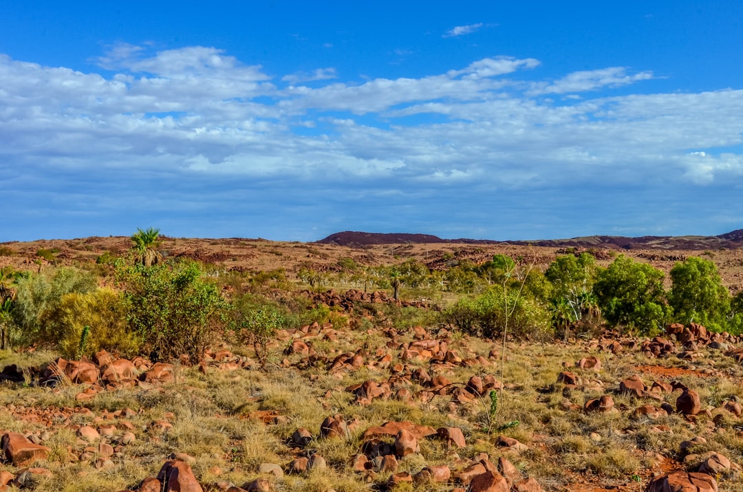 Exploring the Rugged Beauty A Journey