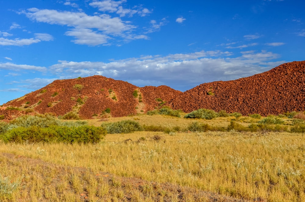 green grass field near brown mountain under blue sky during daytime