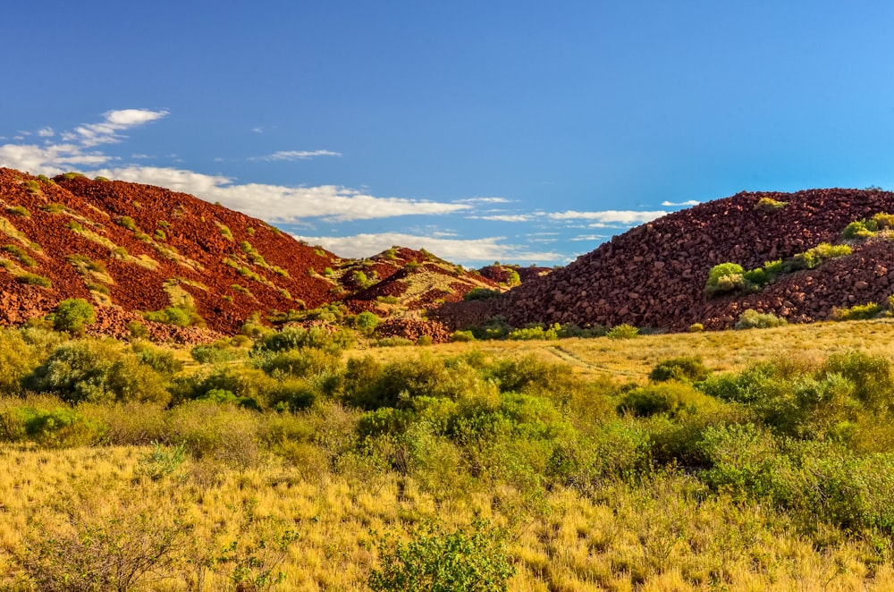 green grass field near brown mountain under blue sky during daytime