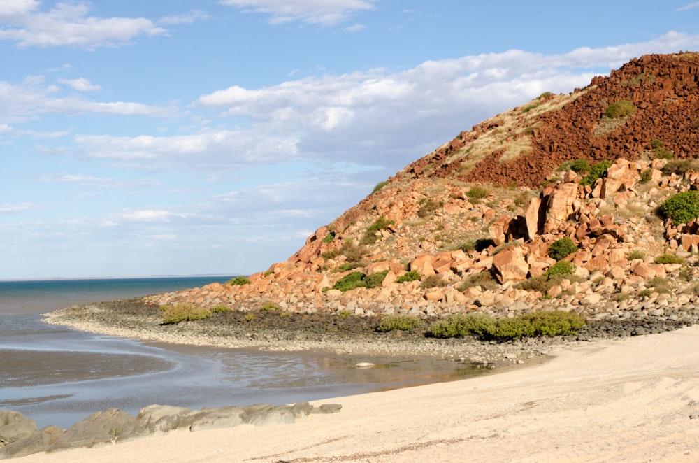 brown rock formation near body of water during daytime