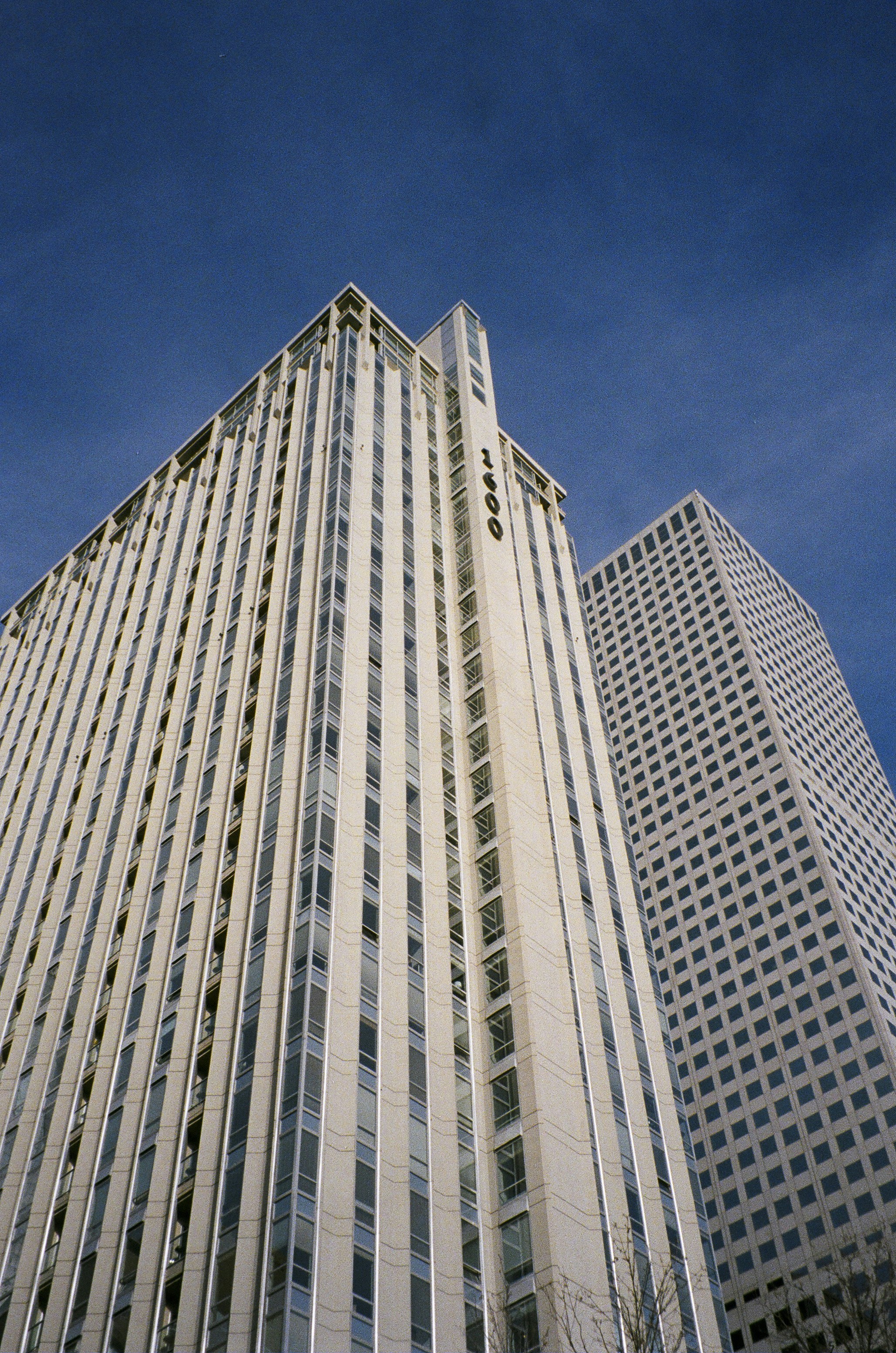 Photo by therealcaique