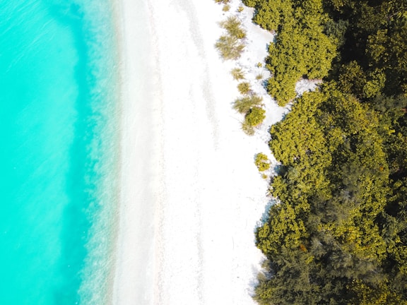 Aerial view of a pristine beach in Riviera Maya with turquoise waters and lush greenery.