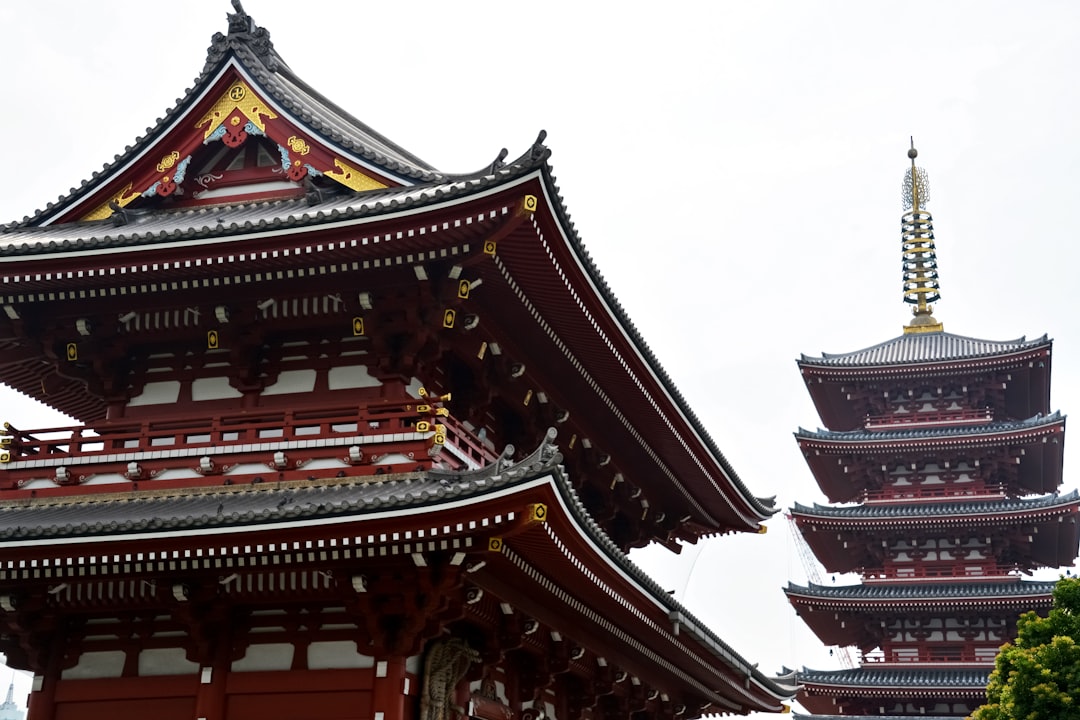 brown and white temple during daytime