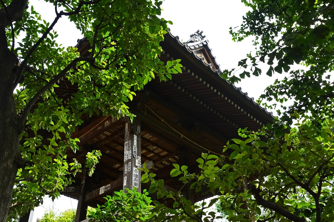 brown wooden house with green tree