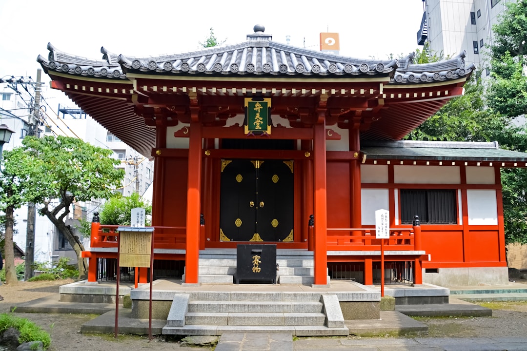 brown and black wooden temple