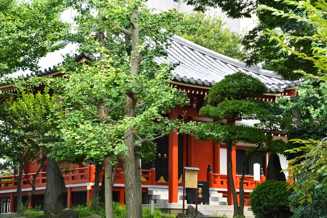 green tree near orange and white building