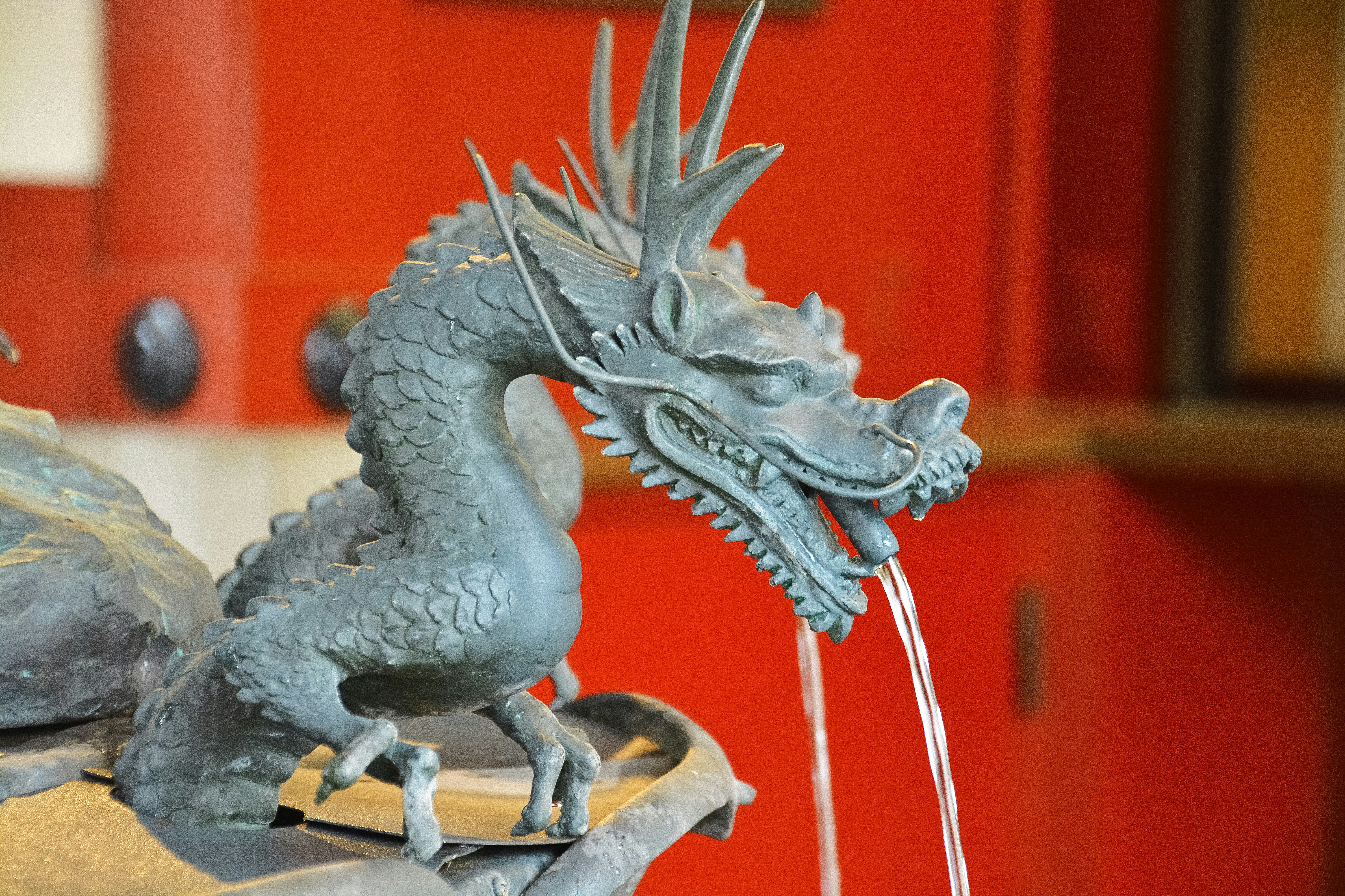 Cover image for template: El dragón