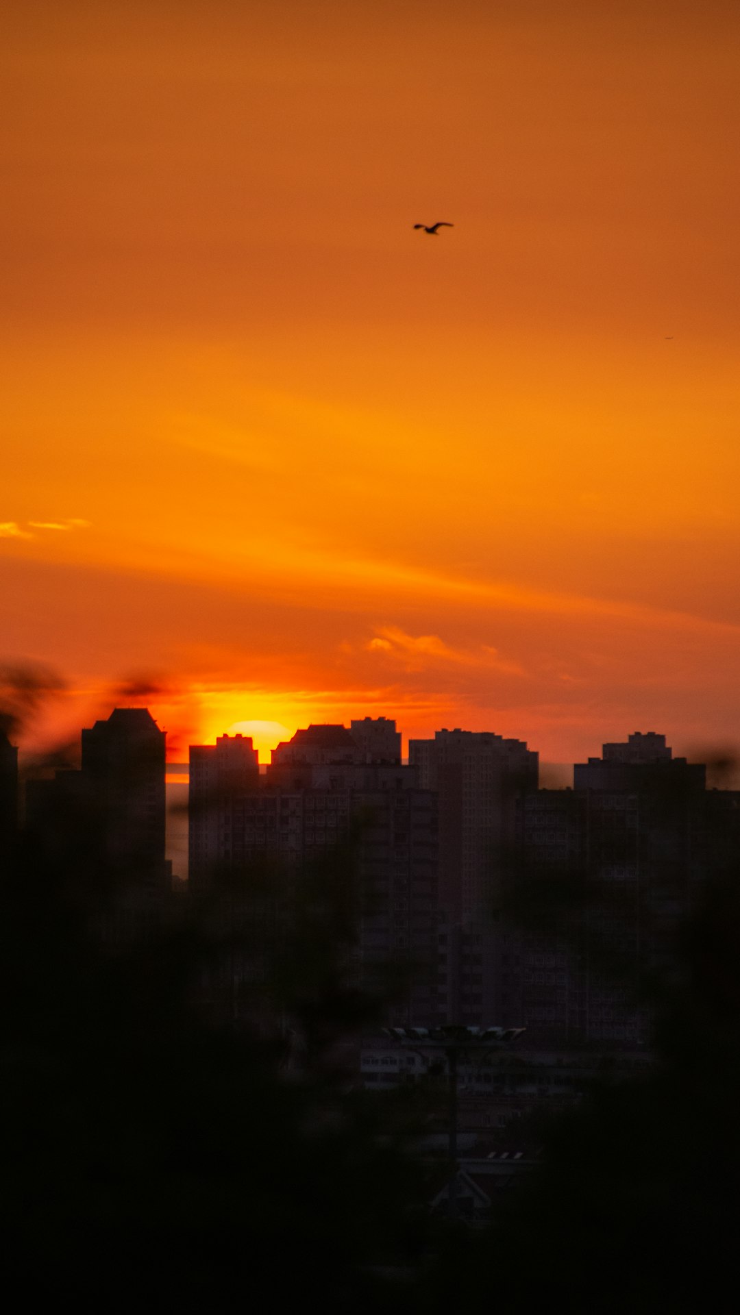 silhouette of city buildings during sunset