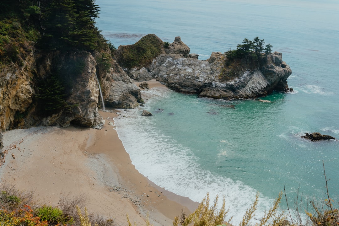 green trees on brown rocky mountain beside blue sea during daytime