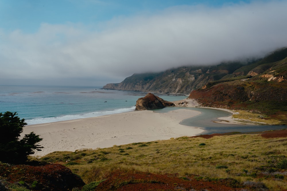 brown sand beach during daytime