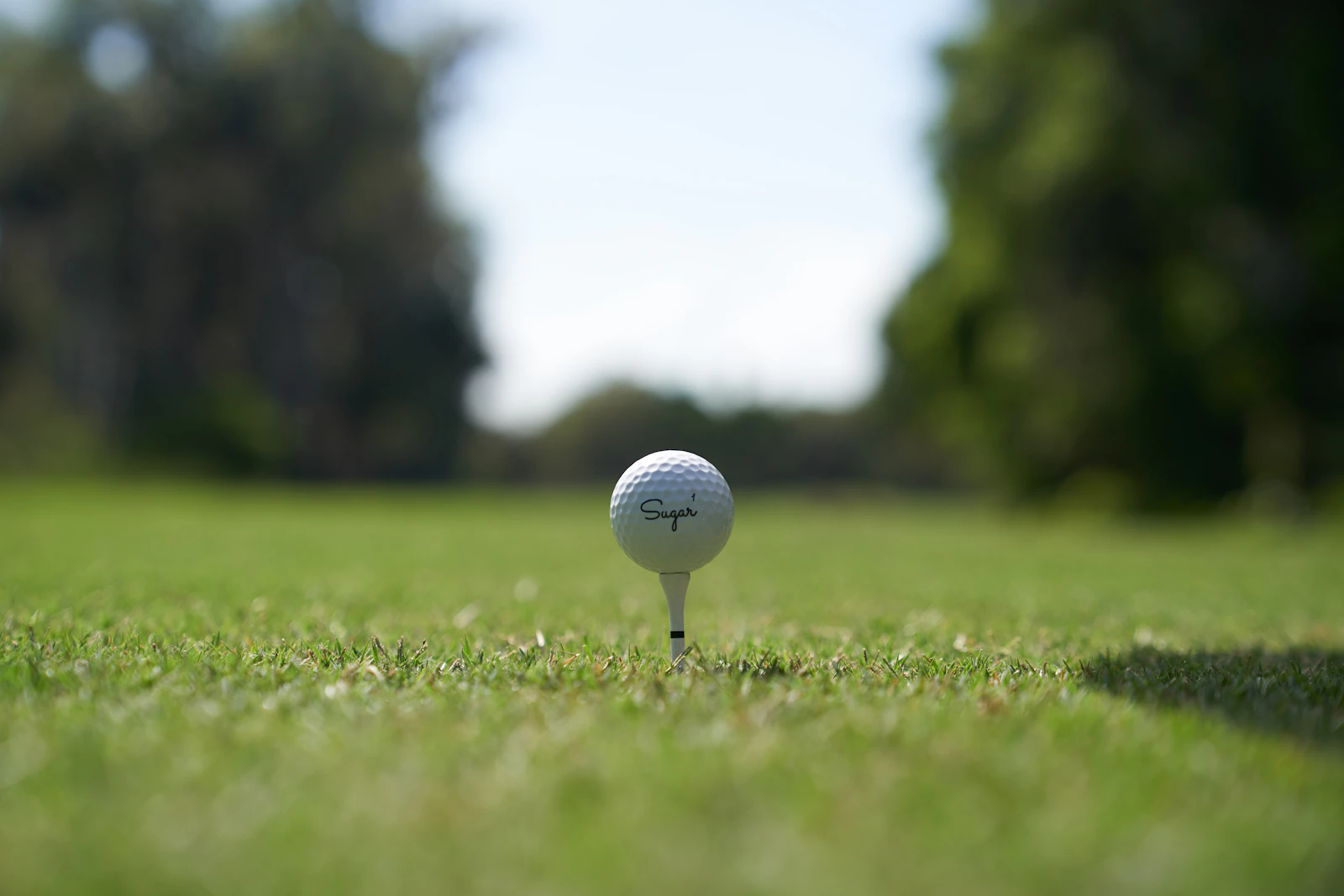 A white golf ball sitting down in green grass