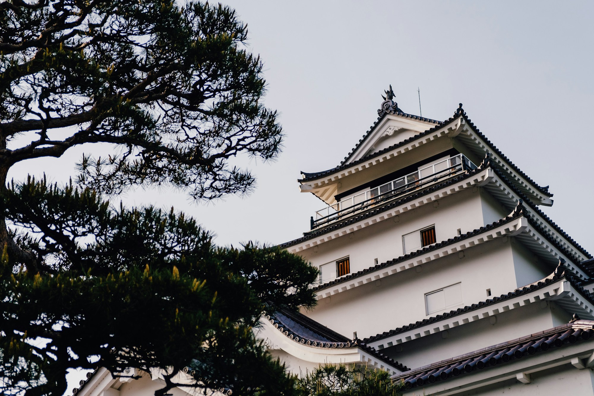 Exploring Fukushima: A Local's Guide