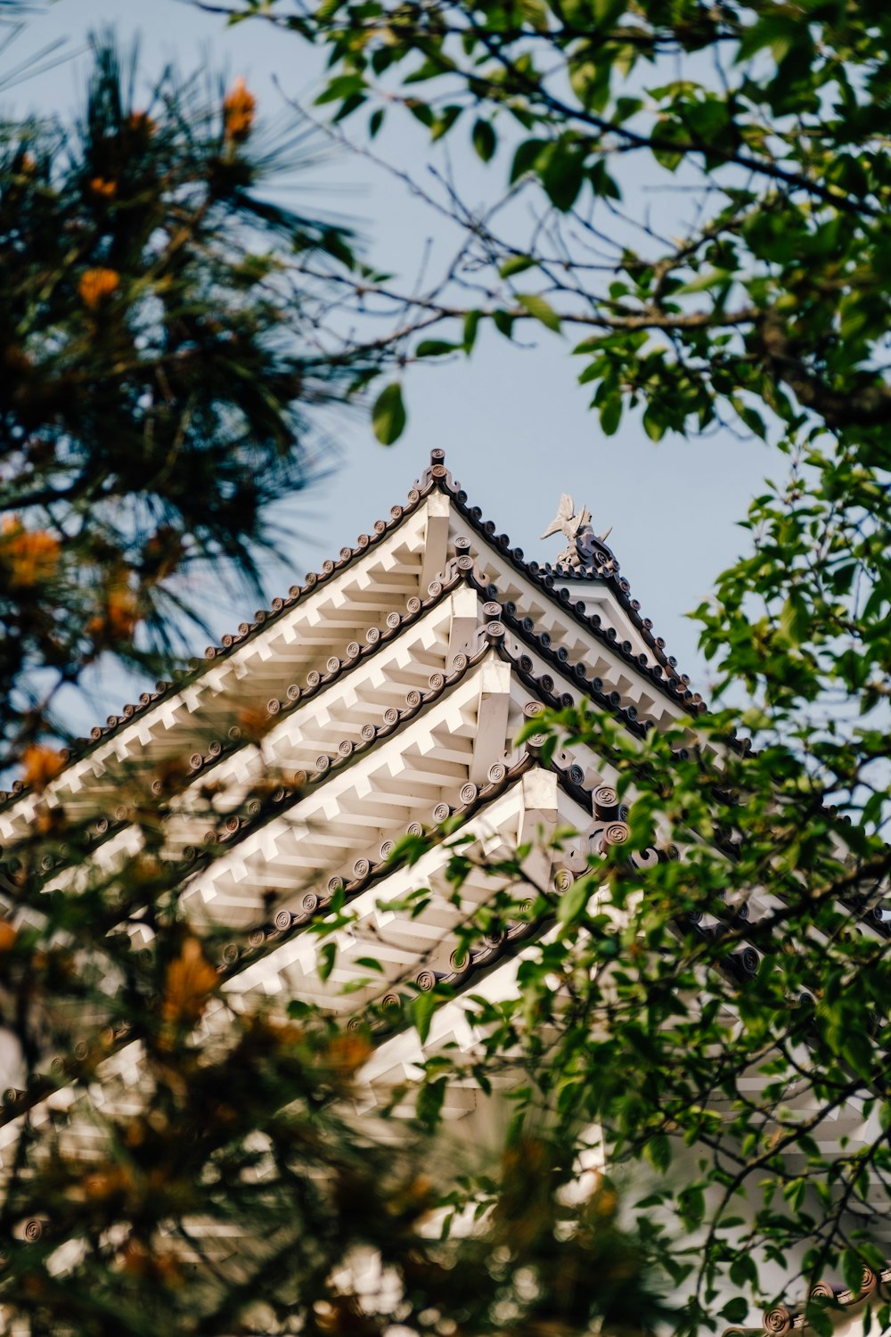 white and black temple under green tree during daytime