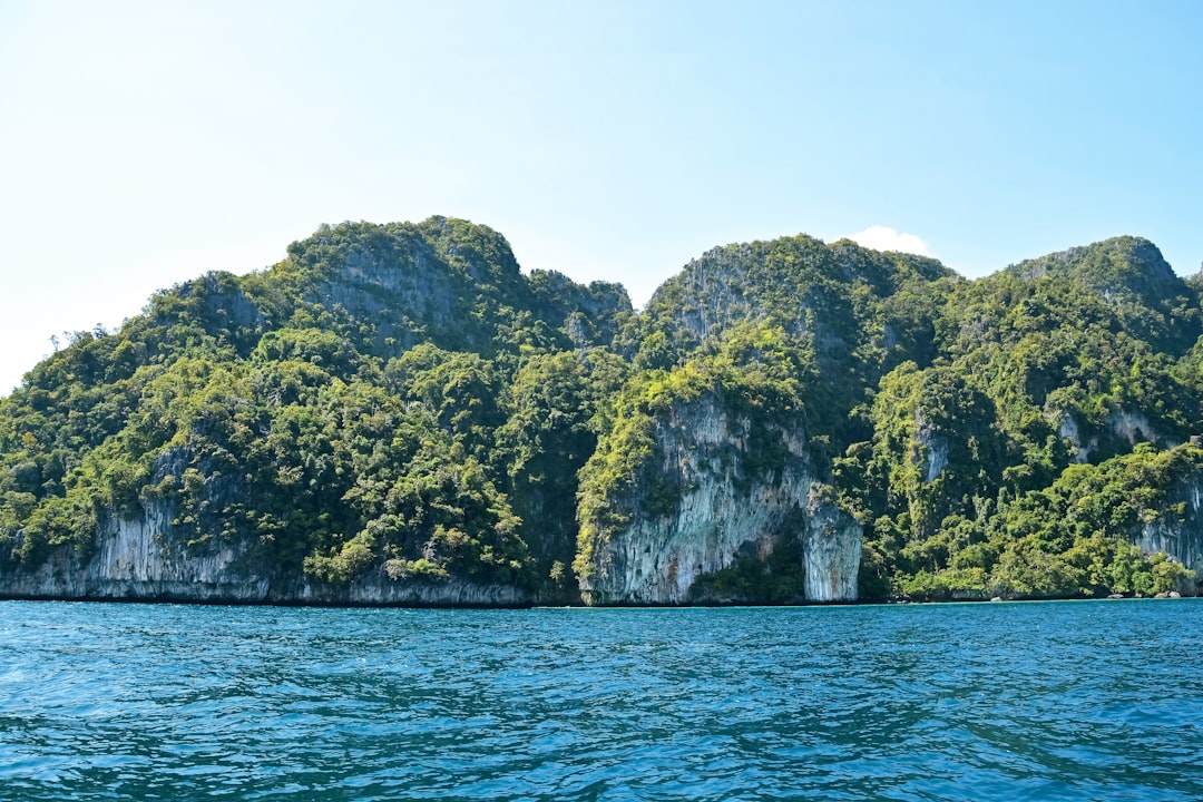 green and brown rock formation on sea during daytime