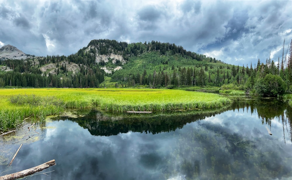 green grass field near lake under cloudy sky during daytime