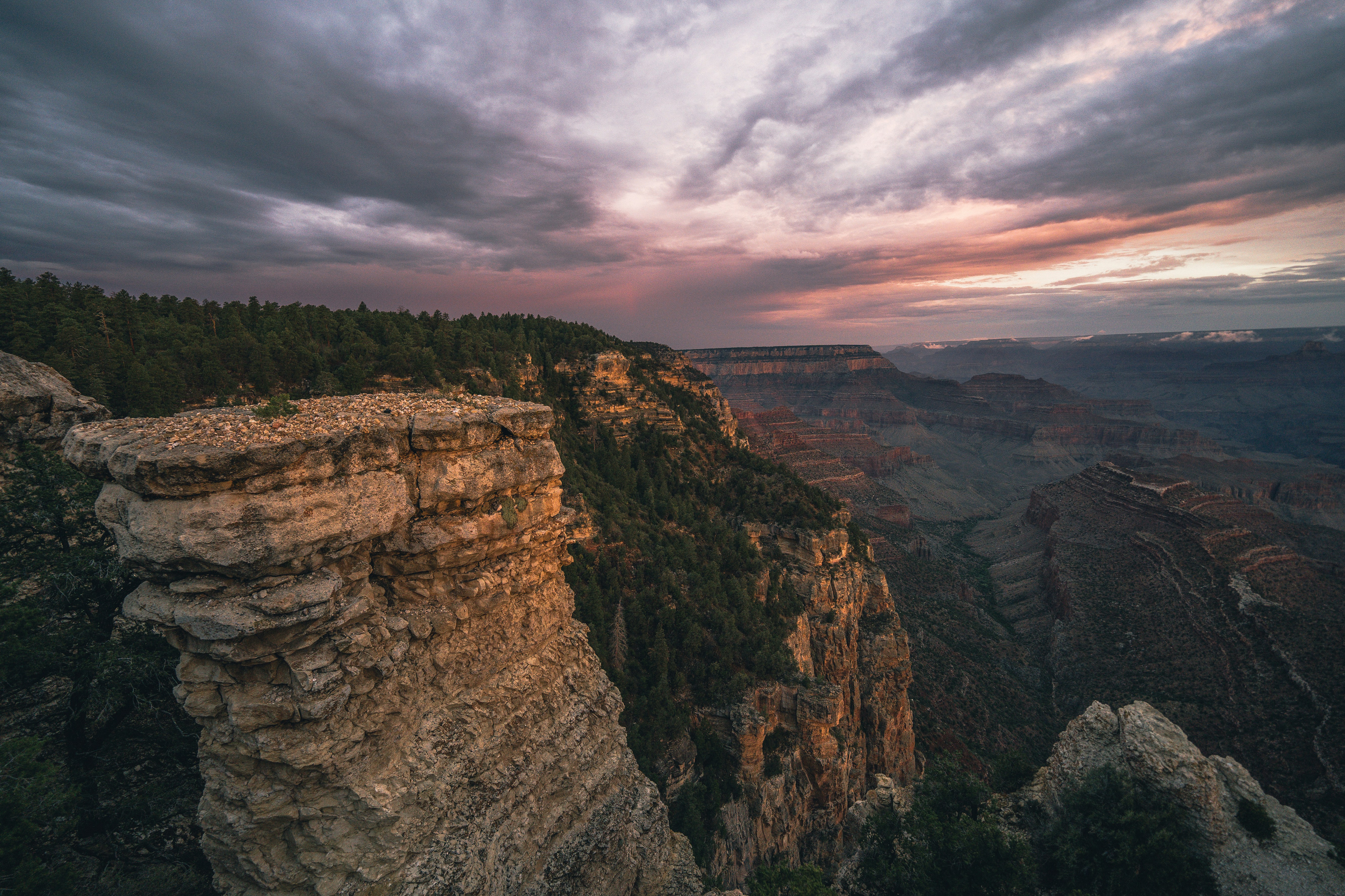 Photo by mischievous_penguins