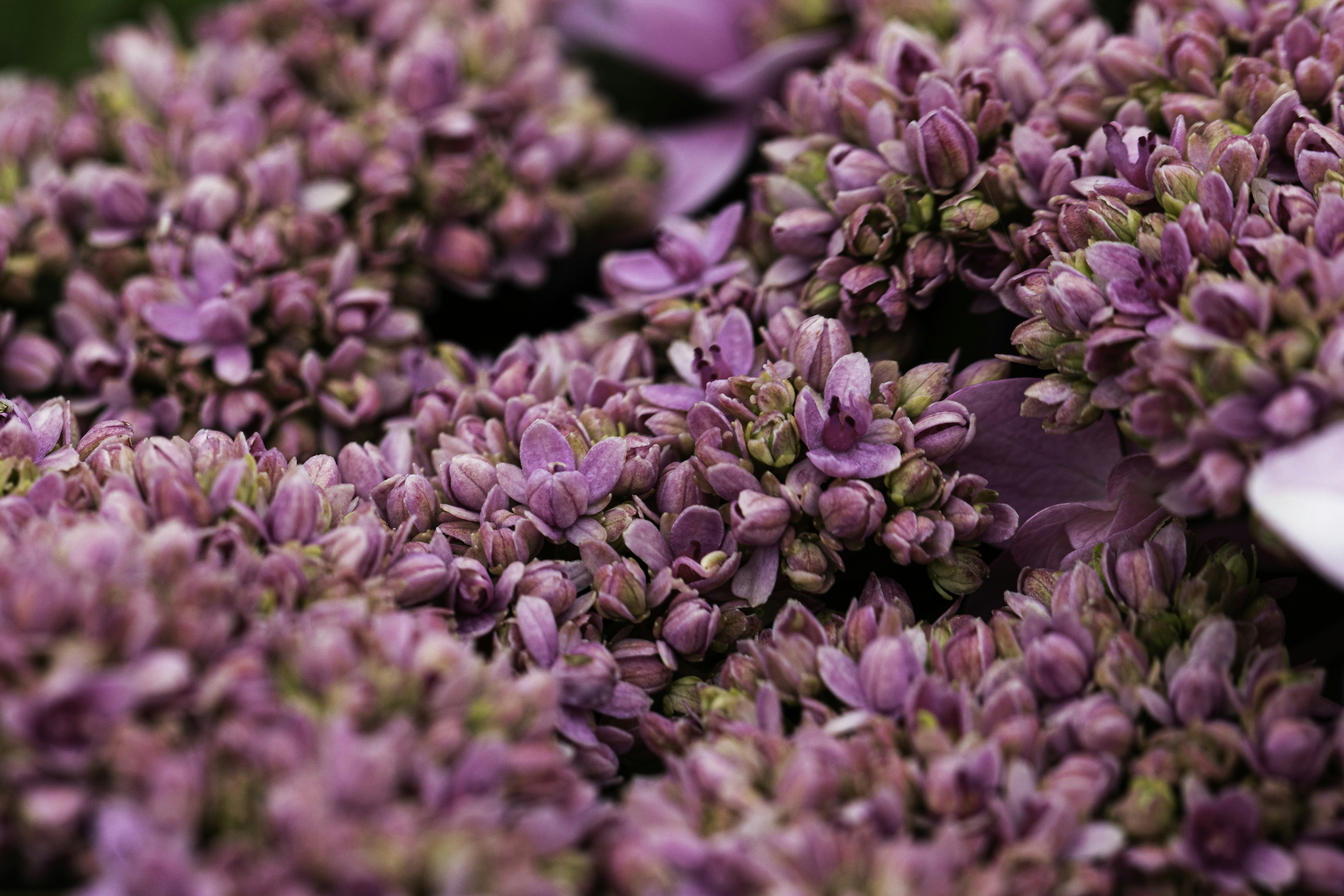 Photo by ginaleonore