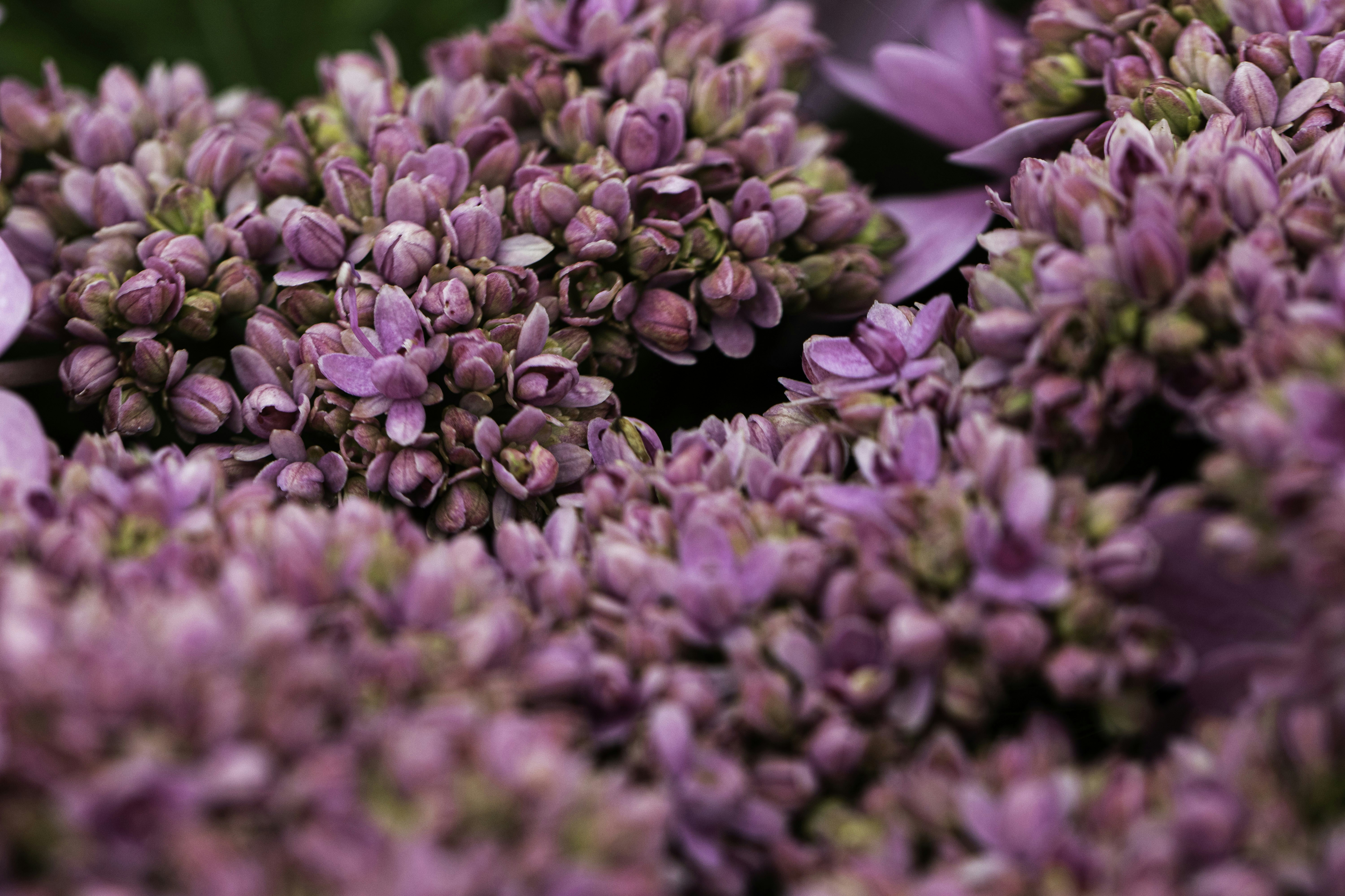 Photo by ginaleonore