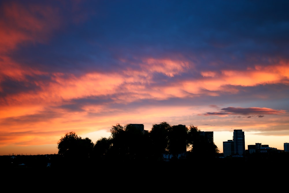 silhouette d’arbres au coucher du soleil