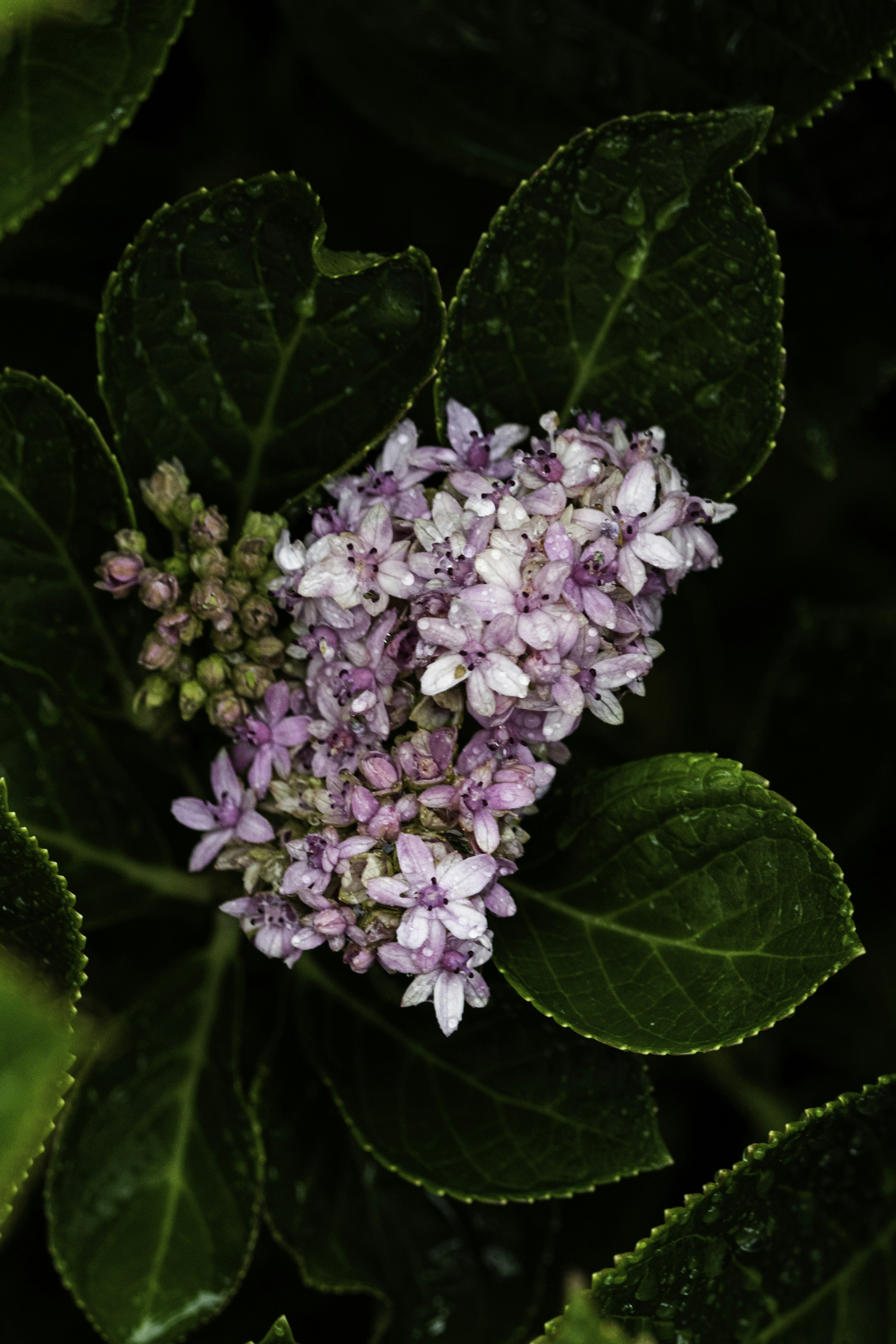 Photo by ginaleonore