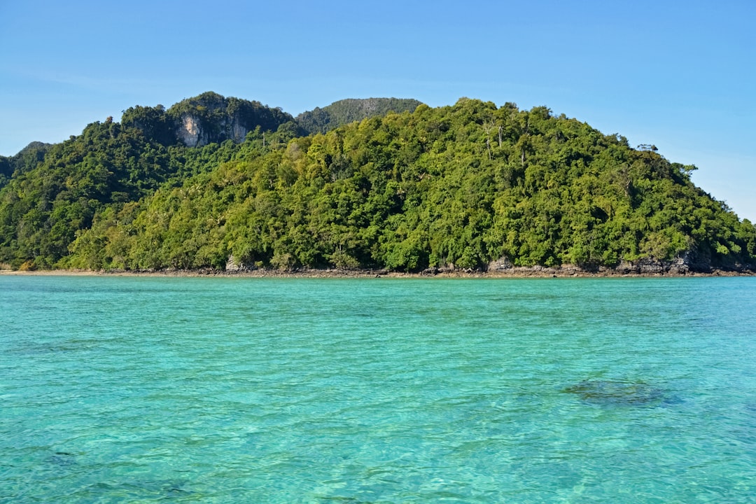 green trees on island during daytime