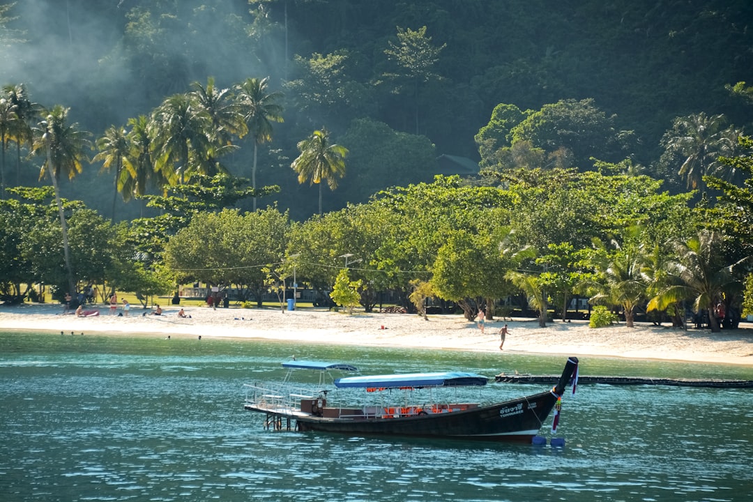 black and red boat on sea shore during daytime