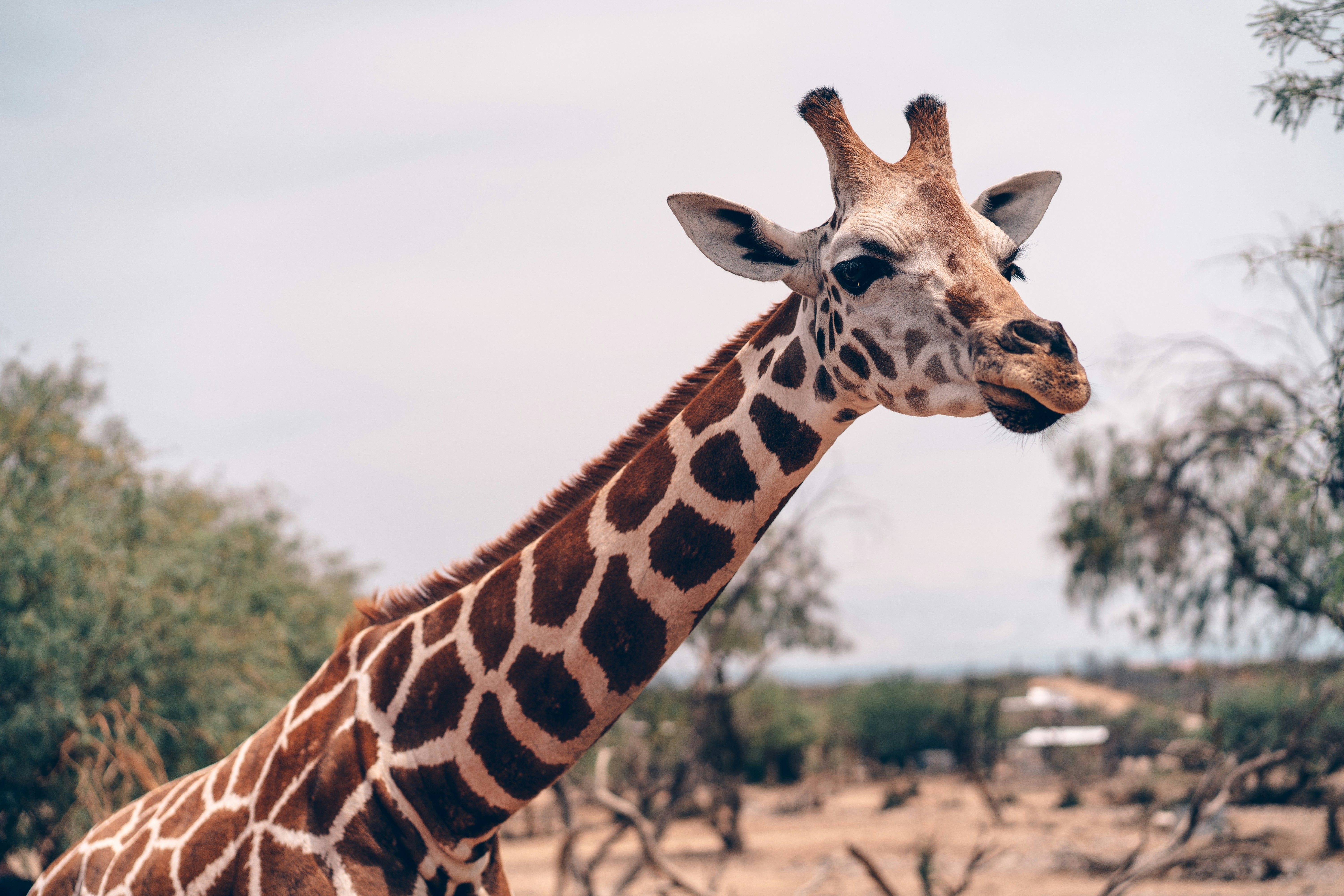 Photo by gymxratpapii