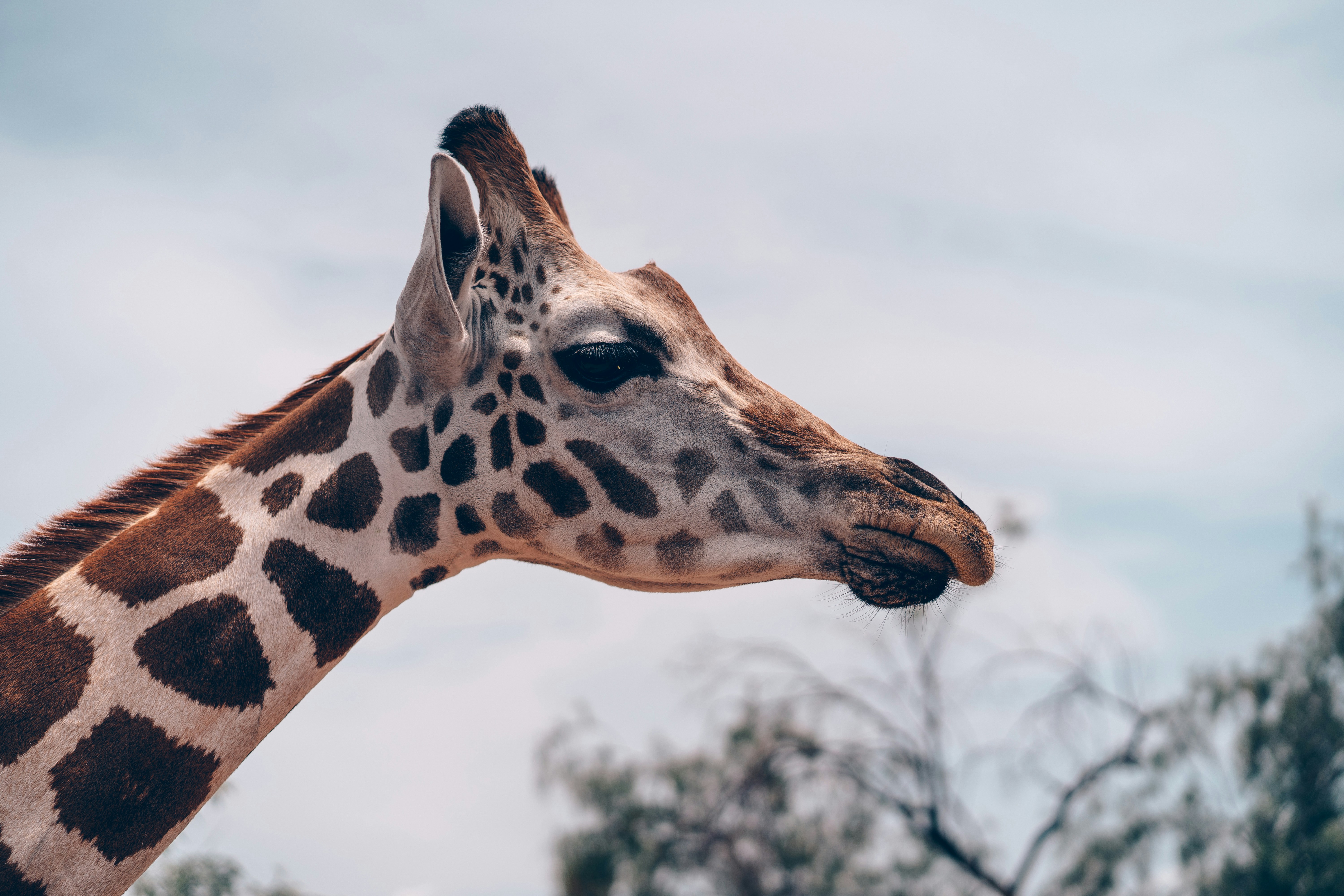 Photo by gymxratpapii