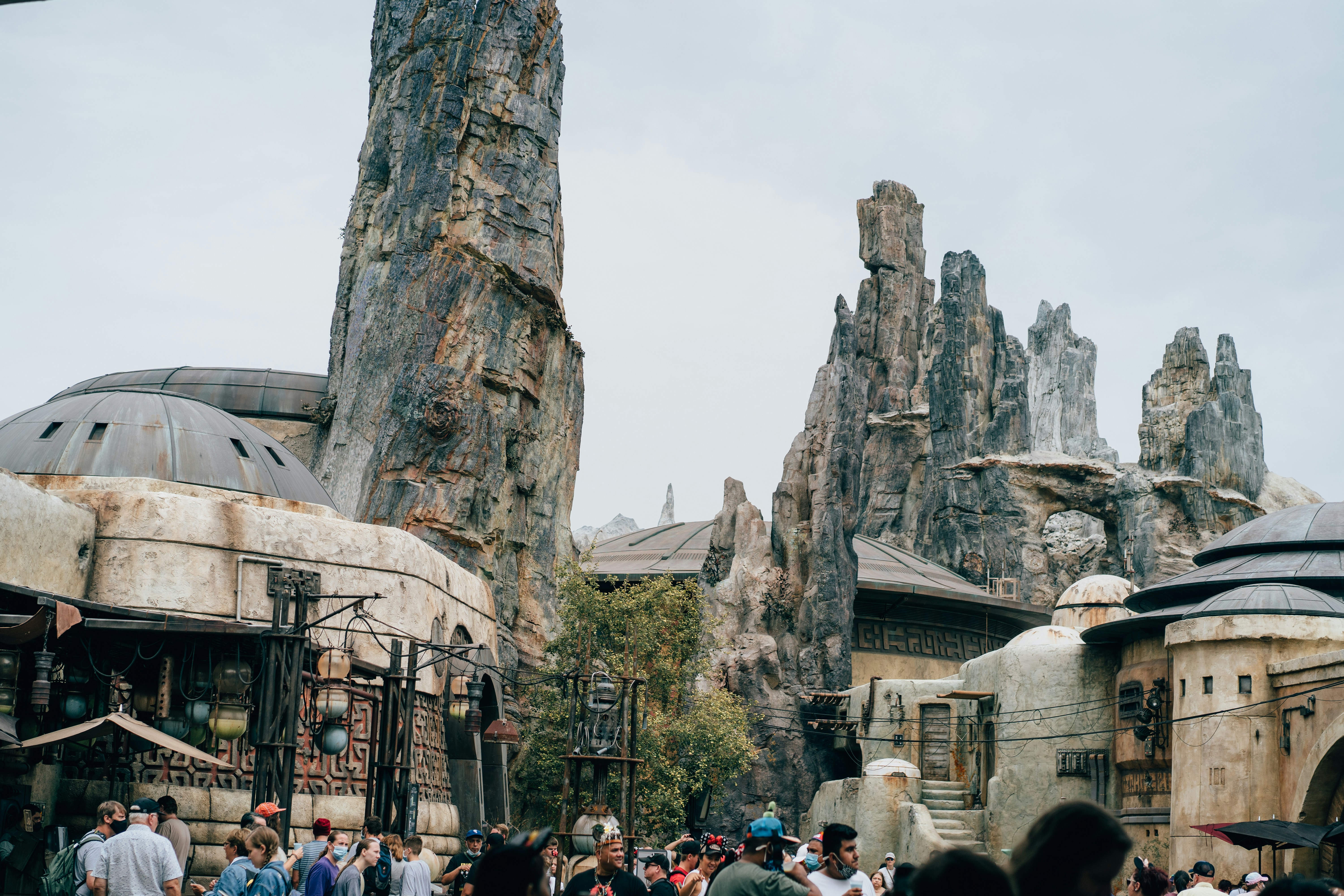 Photo by gymxratpapii