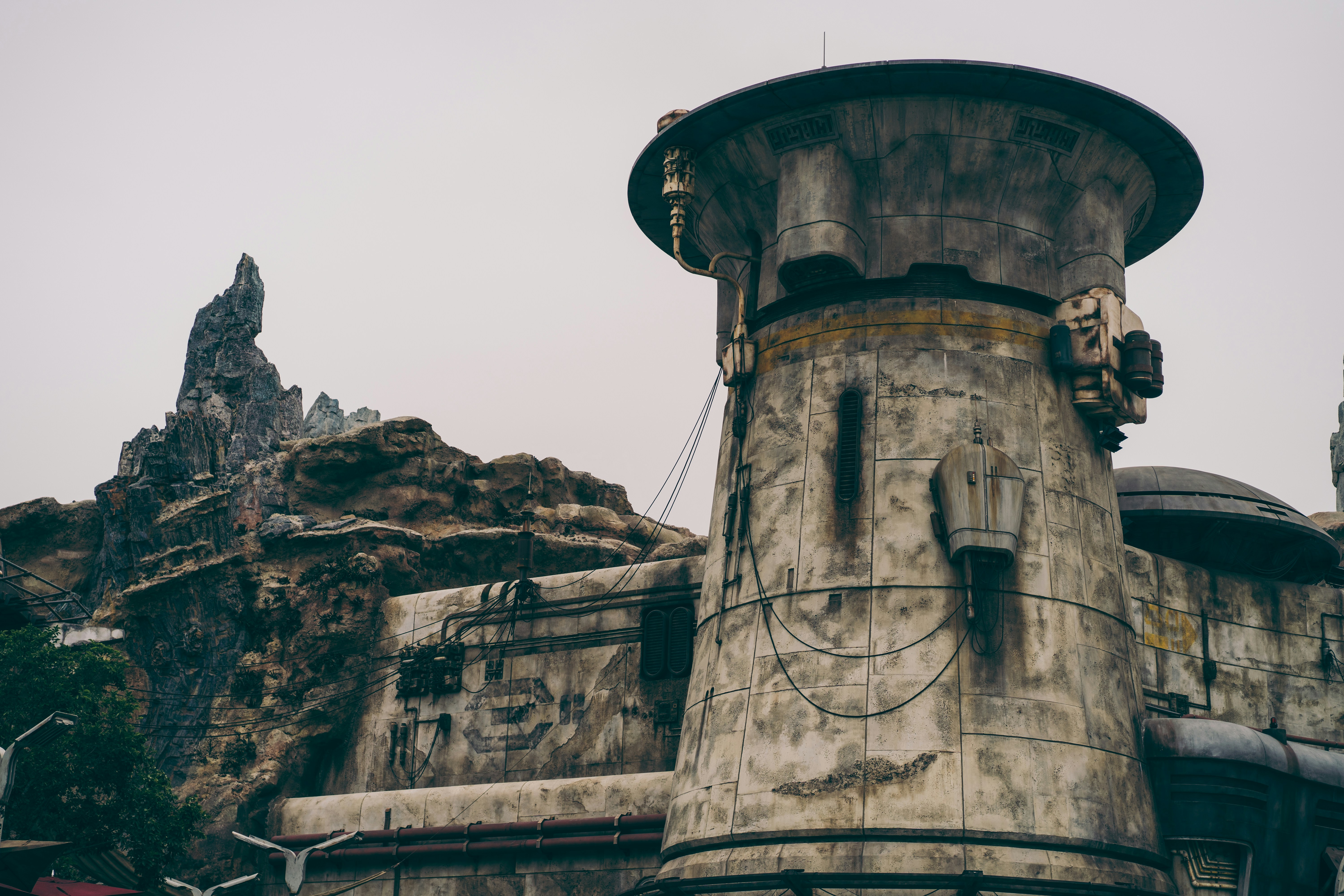 Photo by gymxratpapii