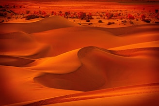 brown sand field during daytime