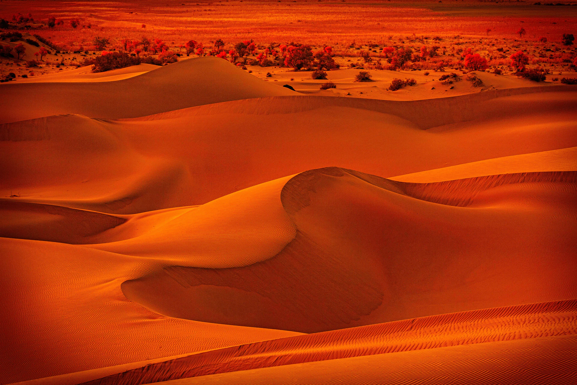 brown sand field during daytime