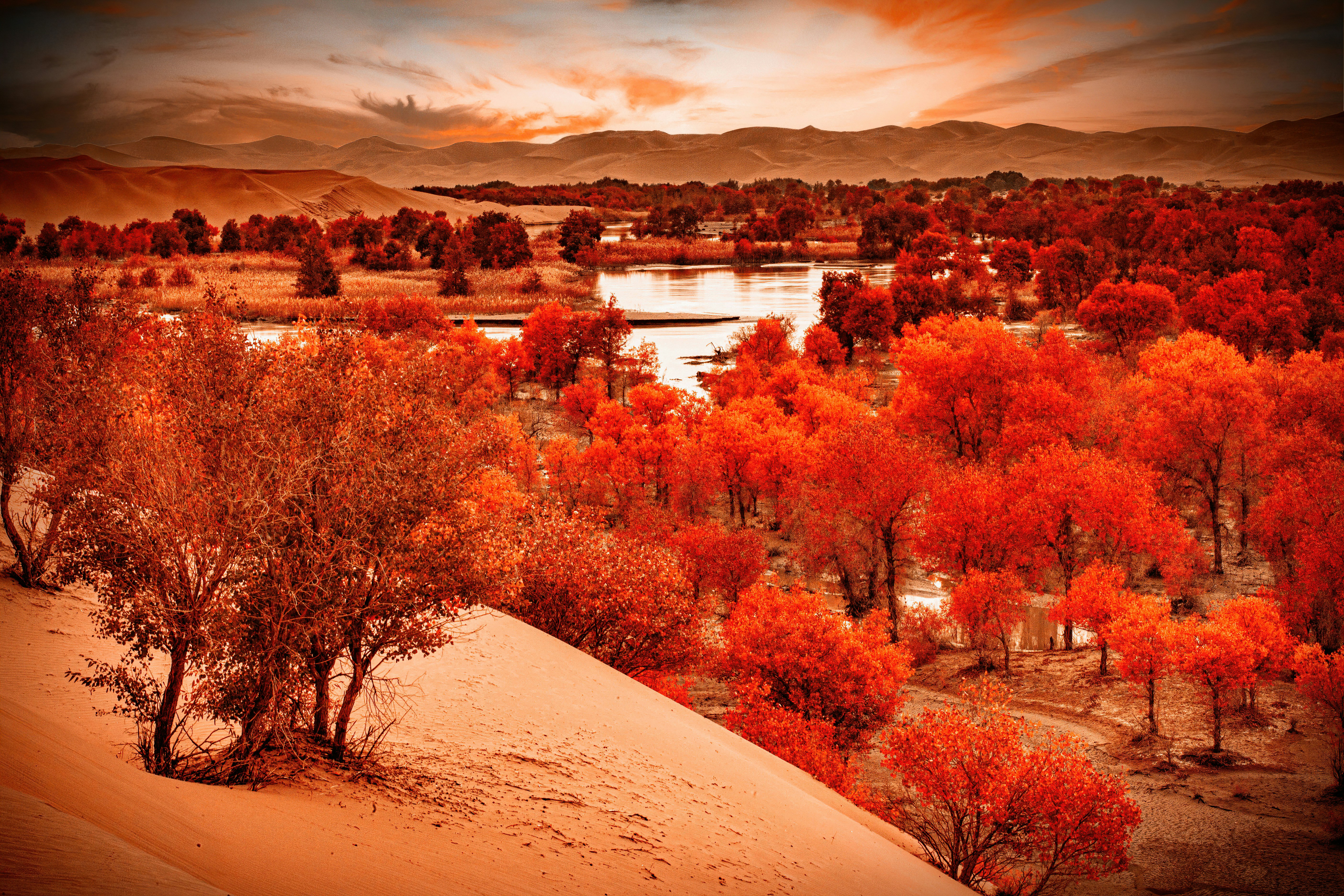 Image by 光曦 刘 via Unsplash