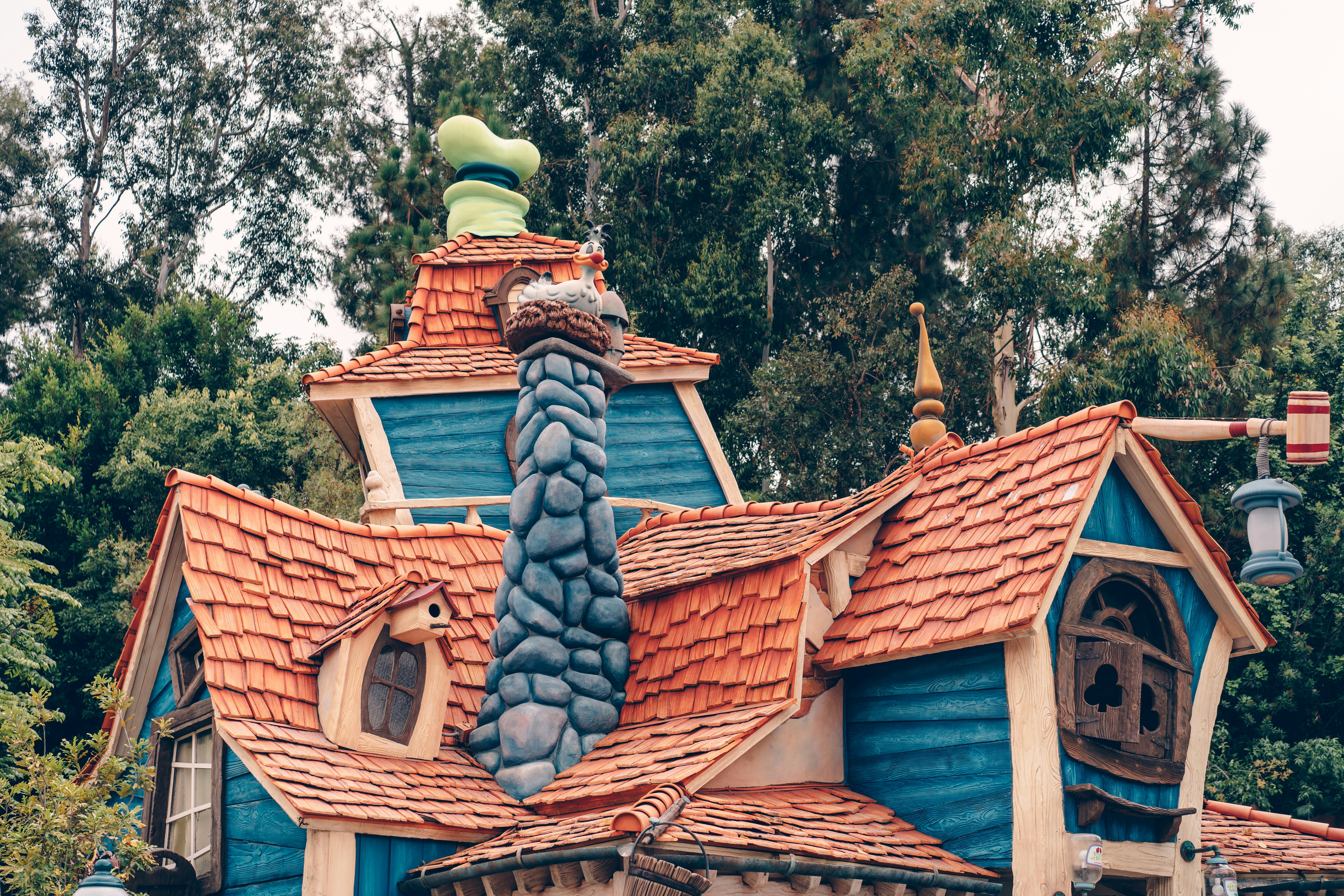 Photo by gymxratpapii