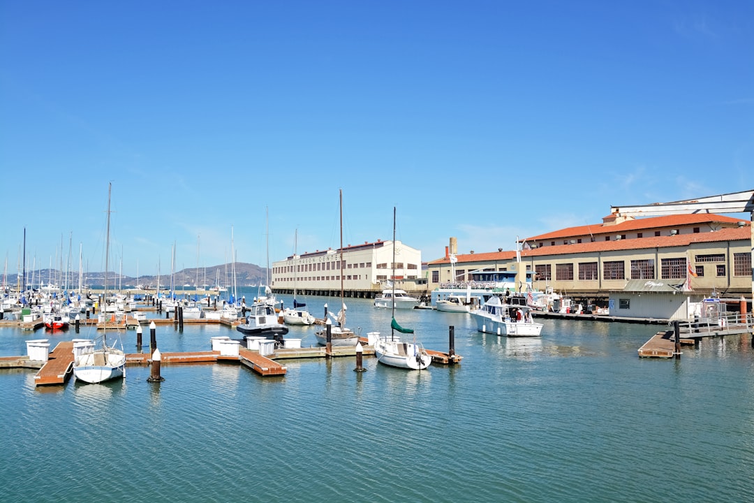 white and brown boats on dock during daytime