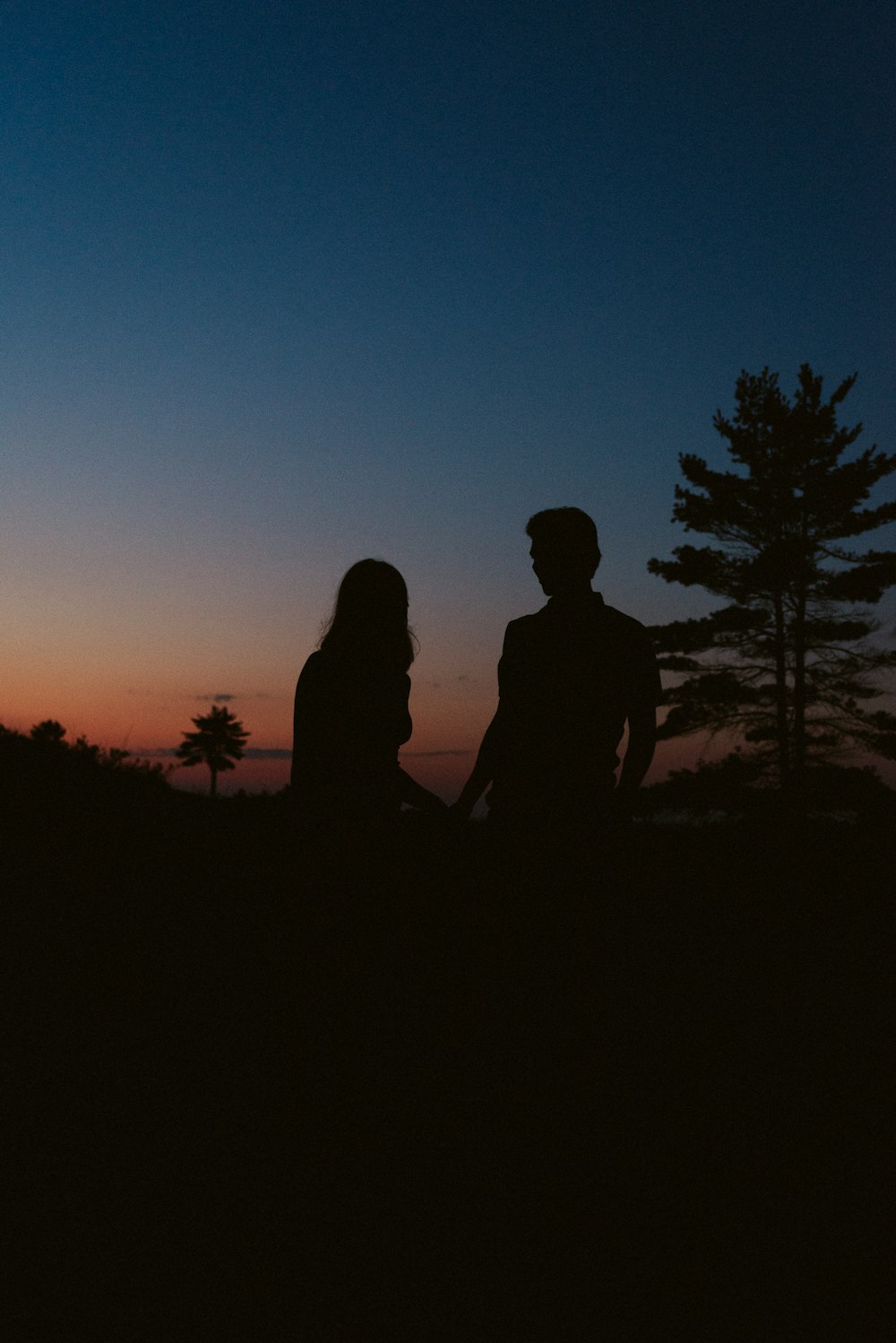 silhouette of 2 person standing near trees during sunset