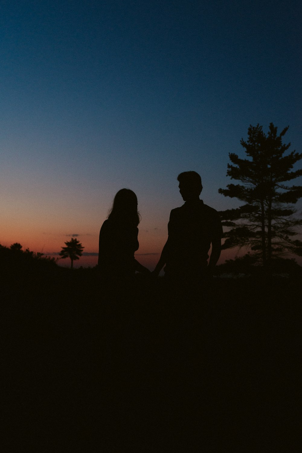 silhouette de 2 personnes debout près des arbres pendant le coucher du soleil