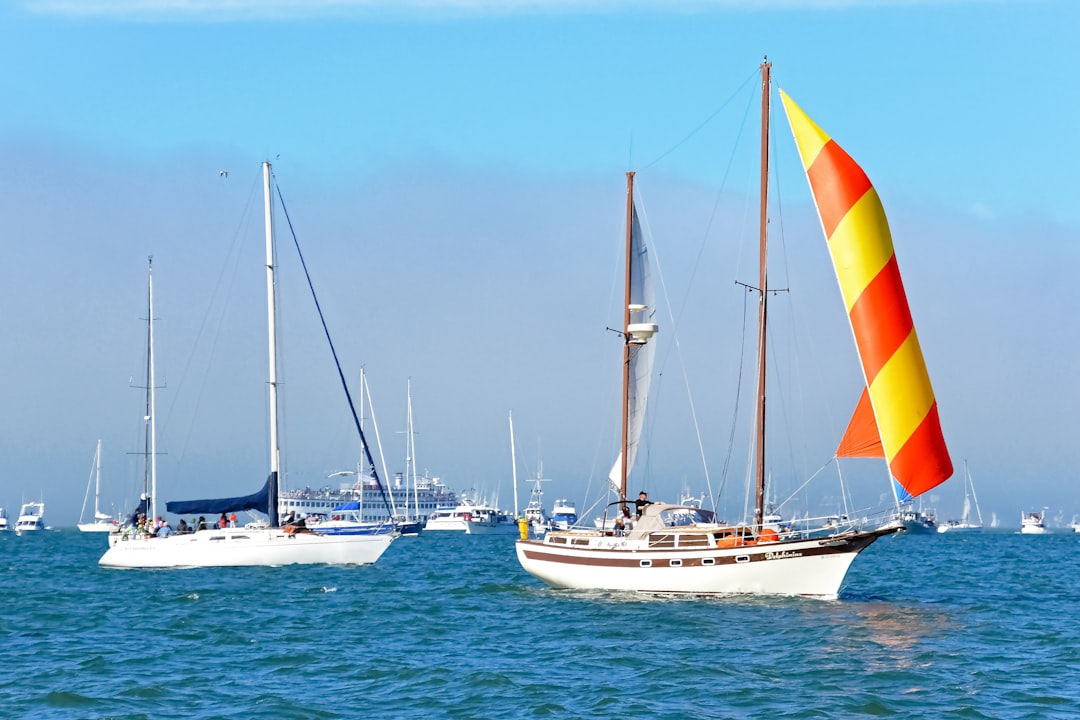 white and blue sail boat on sea during daytime